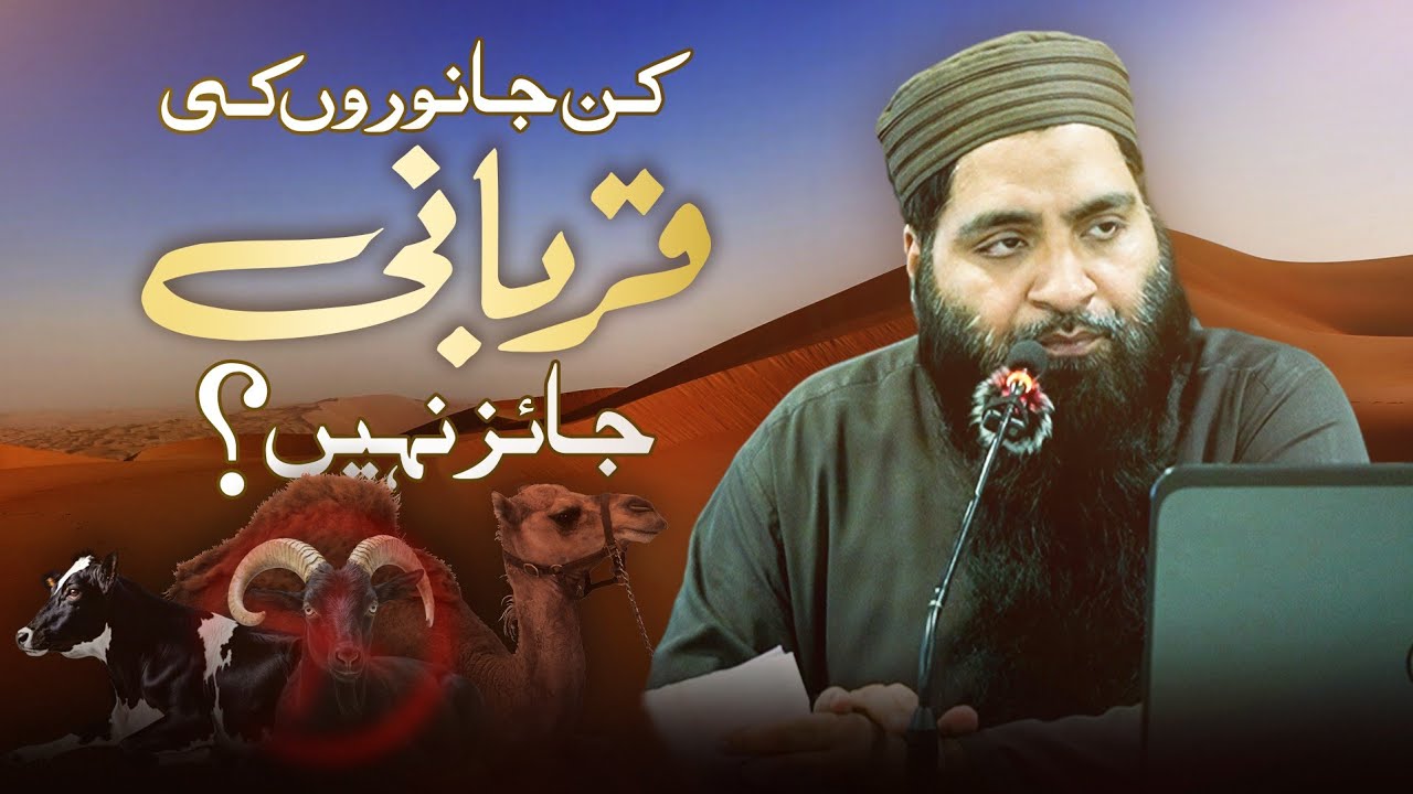 کس جانور کی قربانی جائز نہیں؟