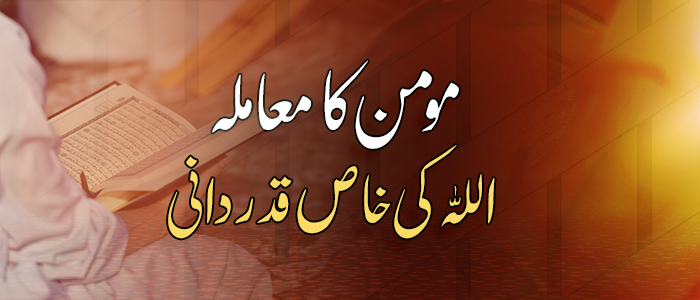 مومن کا معاملہ – اللہ کی خاص قدر دانی